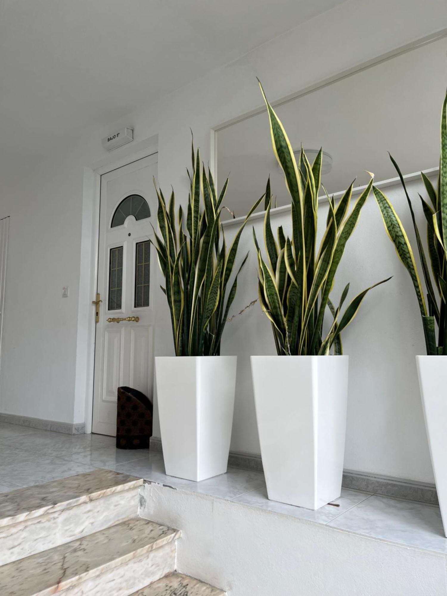 Apartamento En Sardineiro, Finisterre B5 Exterior photo